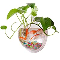 HEREB Macetero de pared para colgar hecho de acrílico transparente ideal como jarrón de flores plantas pecera o acuario…